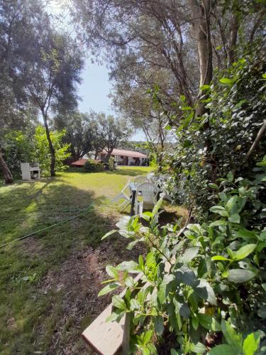 L'Ulivo - Siniscola L'Ulivo - Siniscola