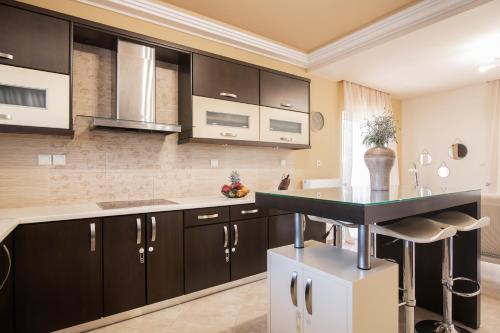 Gala's Elegant Home Villa in 칼리파돈