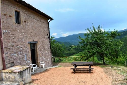 Agriturismo Il Loppo, your Home in the Woods