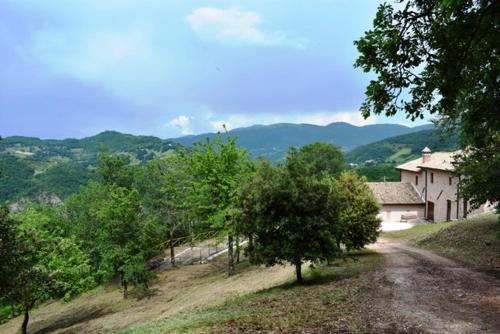 Agriturismo Il Loppo, your Home in the Woods