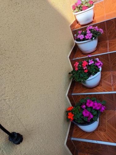 Casa VIO