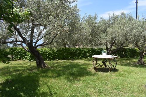 CHALET TRA GLI ULIVI: • giardino • WiFi • A/C • bbq