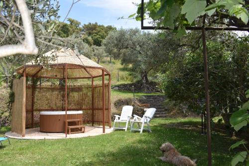 CHALET TRA GLI ULIVI: • giardino • WiFi • A/C • bbq