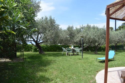 CHALET TRA GLI ULIVI: • giardino • WiFi • A/C • bbq