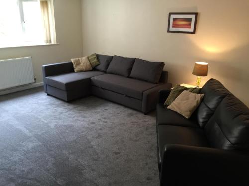 Twelve Apartments - image 11