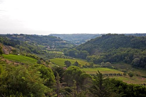 Il Corbezzolo