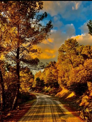 El Rincón de BeBa (El Rincon de BeBa) in Segura De La Sierra