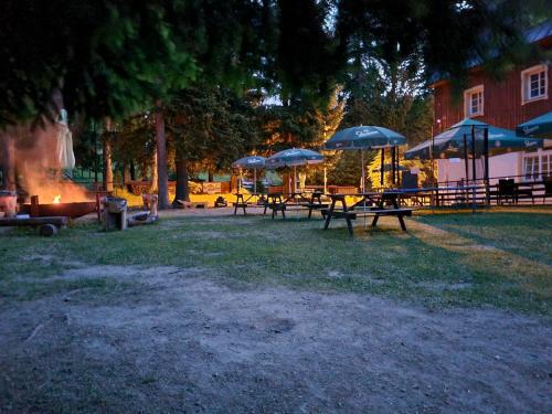Hotel Lesní Chata - image 4