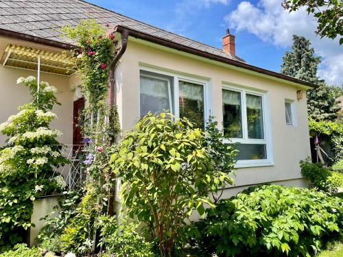 Landhaus mit Garten in Neutal, Österreich