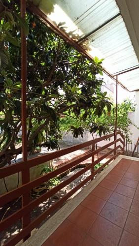 Casa Ester, Aradeo (photo 3)