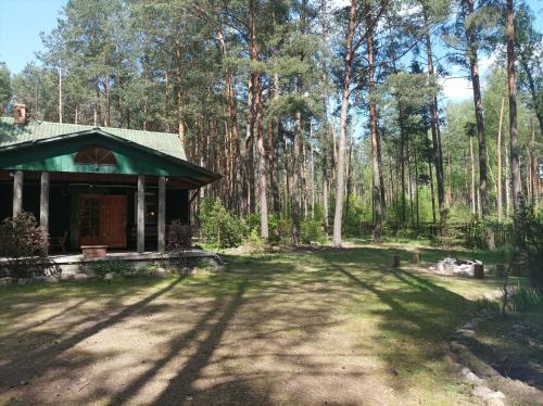 Fantastyczny domek w lesie in Длугосьодло