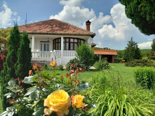 B&B Kuršumlija - Apartmani Ćosić - Bed and Breakfast Kuršumlija