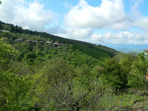 A környék, Guest house Gidi in Signali