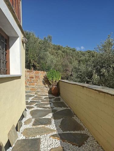 Pelion Mountain & Sea Villa - Private Studio