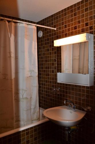 Immeuble Mont Noble - image 3