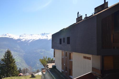 A szálláshely kívülről, Immeuble Mont Noble in Vex