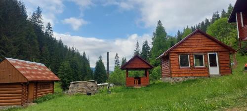 Крайня Хата, Синевирская Поляна (фото 7)