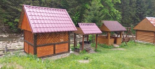 Крайня Хата, Синевирская Поляна (фото 8)