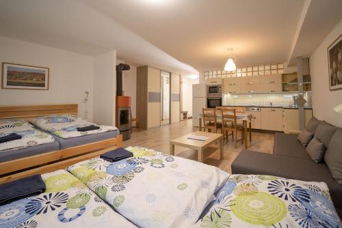 Šedivinské apartmány - rodinné apartmány v Orlických horách (Sedivinske apartmany - rodinne apartmany v Orlickych horach) in Svitavy