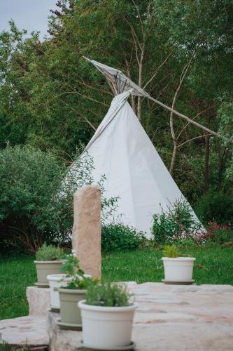 Tipi / Nature / Détente