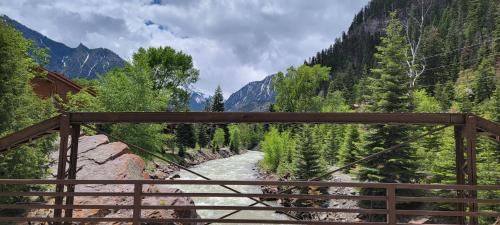 Hot Springs Inn - image 7