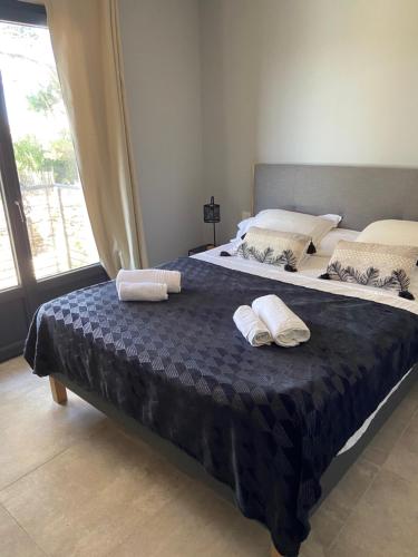 monteleone monteleone