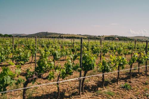 Agriturismo il Laghetto - image 9