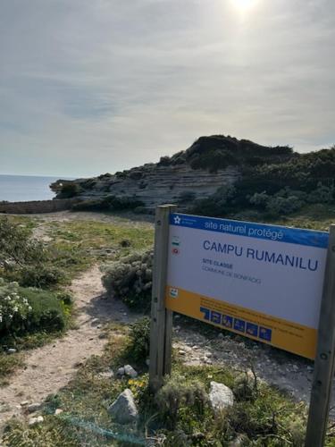 monteleone monteleone