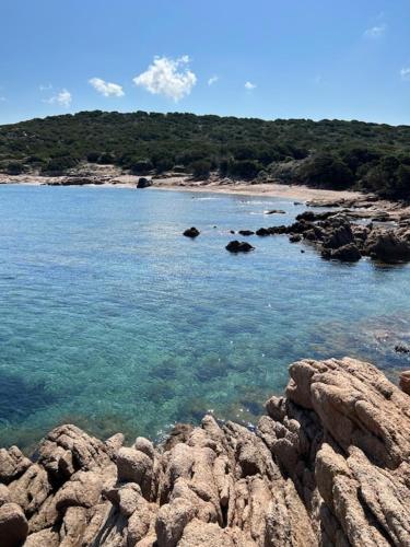 monteleone monteleone