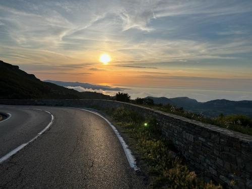 monteleone monteleone