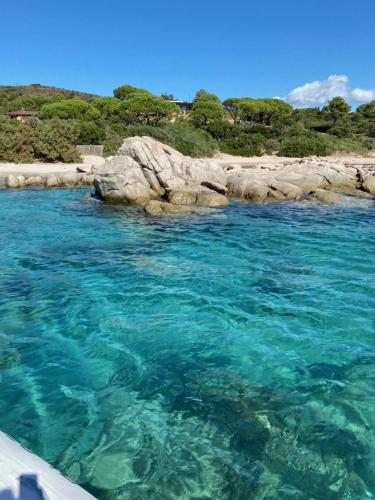 monteleone monteleone