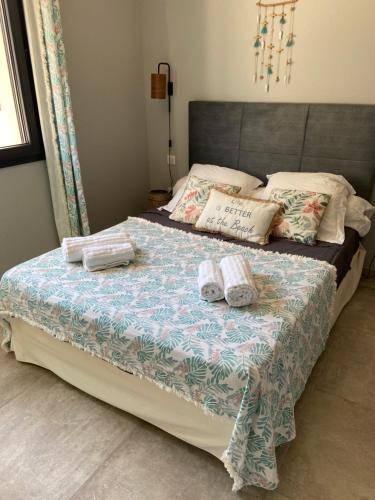 monteleone monteleone