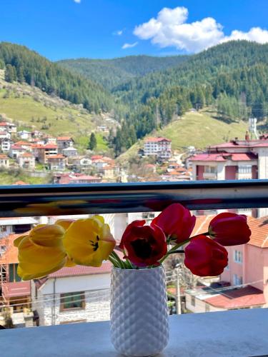 Мансарда с фантастични гледки и две спални, Chepelare (foto 6)
