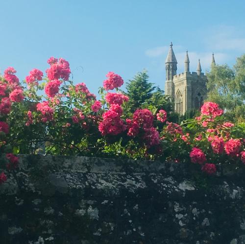 In the centre of Shaftesbury