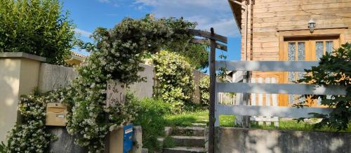 La Maison du Saule - Location saisonnière - Pompignac