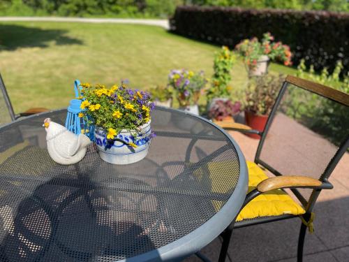 balkon/taras, De Grote Drent in Drouwenermond