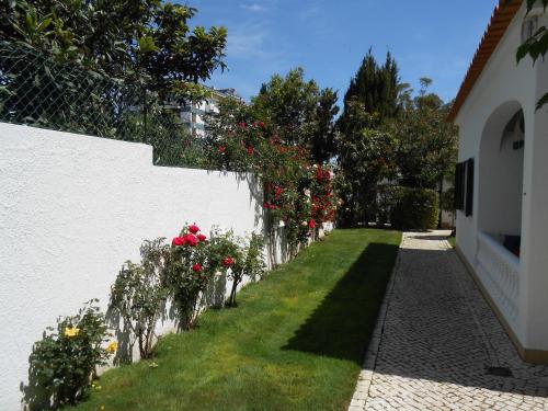 Dona Ana Garden - image 7