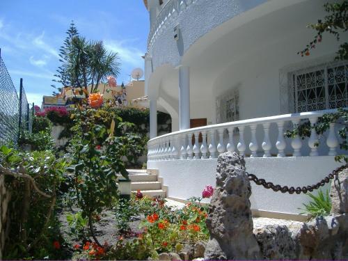 Dona Ana Garden - image 2