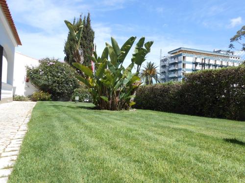 Dona Ana Garden - image 9