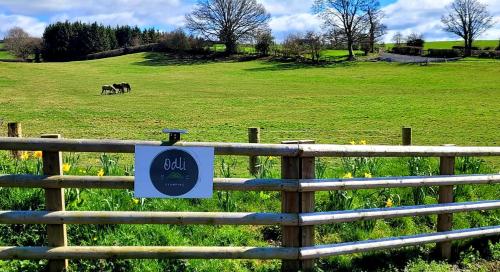 Apkārtne, Odli Glamping - Deri in Meifod