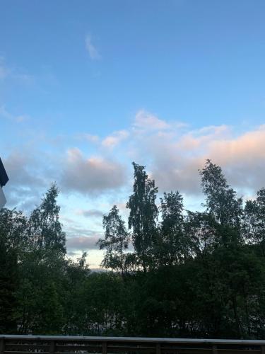 Apartments Bergen free parking in Flesland