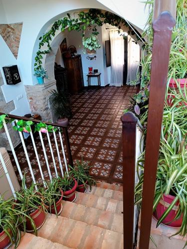 25 de Abril in 塞拉桑塔克鲁斯