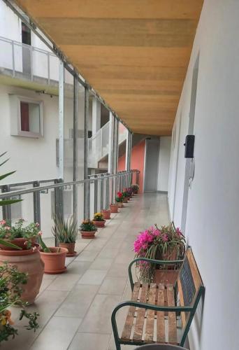 Affittacamere LA CONTESSA 1