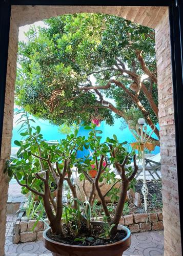  25 de Abril in Santa Cruz de la Sierra