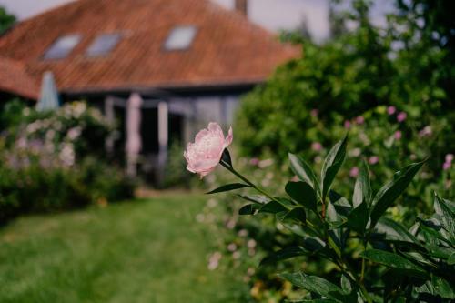 Garden house Zuiderwoude