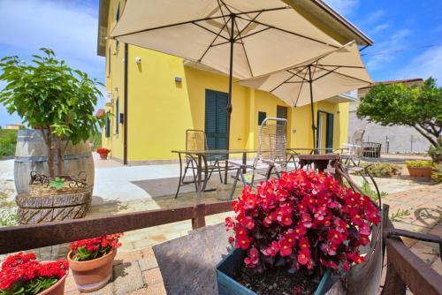 la Casa del Vino - B&B - Accommodation - Tollo