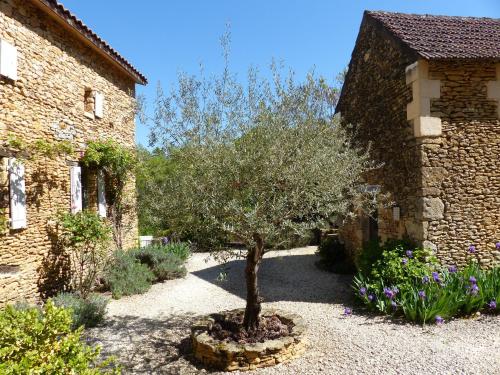 Chambres D'Hôtes Les Boudines