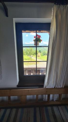 A környék, Casa bunicilor din Oncești (Casa bunicilor din Oncesti) in Oncesti