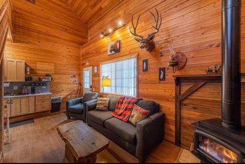 Cabin #1 Buffalo Herd -Pet Friendly - Sleeps 6 - Playground & Game Room, Payson
