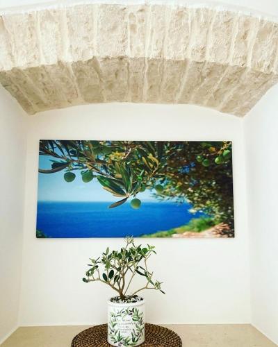 ACANTHUS, Terlizzi (fotografie 8)